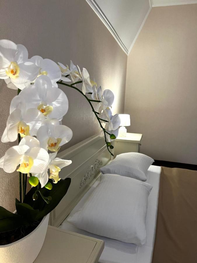 New Continent Hotel Bushtyno Bagian luar foto